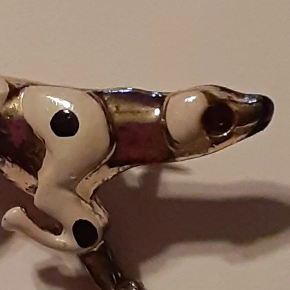 N/A spotted dog